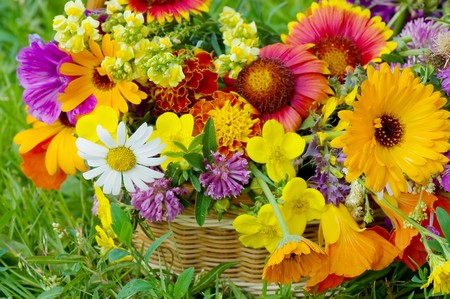 Beautiful flowers in a basket の写真素材