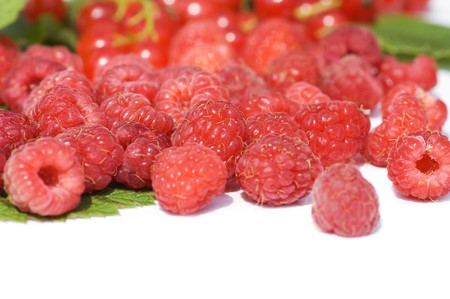 Garden ripe berries isolated on white background の写真素材