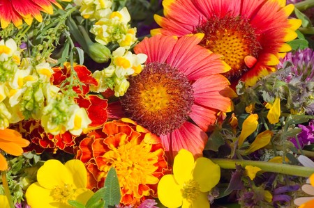 multi colored flowers pattern background の写真素材