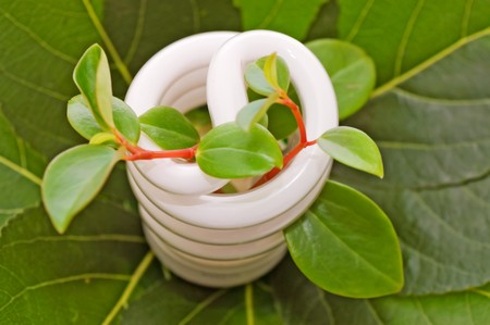 energy saving light bulb on green leaves の写真素材