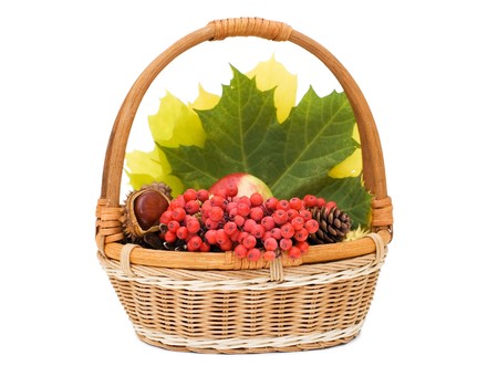 Autumn leaves and fruits isolated on white background の写真素材