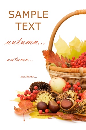 Autumn leaves and fruits isolated on white backgroundの写真素材
