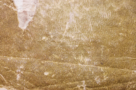 Old vintage paper background の写真素材