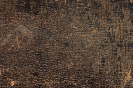 Old skin as a backgroundの写真素材