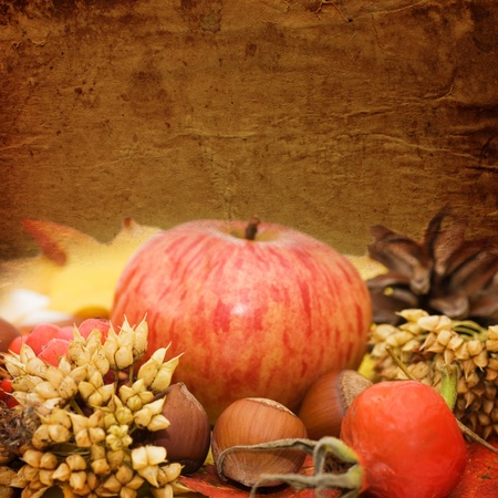 Autumn leaves and fruits. vintage a backgroundの写真素材