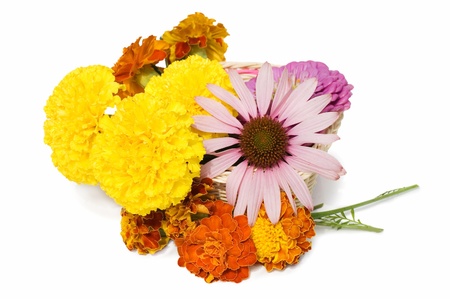 Beautiful flowers isolated on white backgroundの写真素材
