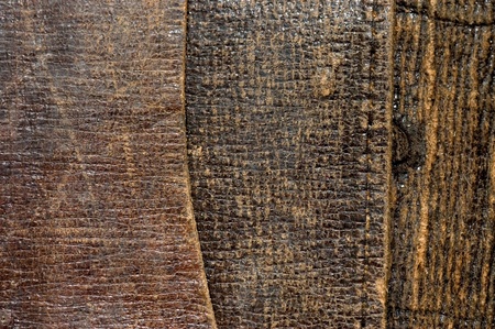 Old skin as a backgroundの写真素材