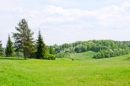 Beautiful summer landscapeの写真素材