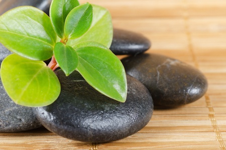 The spa a stone on bamboo backgroundの写真素材