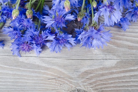 The beautiful blue cornflower on wooden backgroundの写真素材