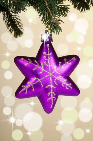 New Year toy on a branchの写真素材