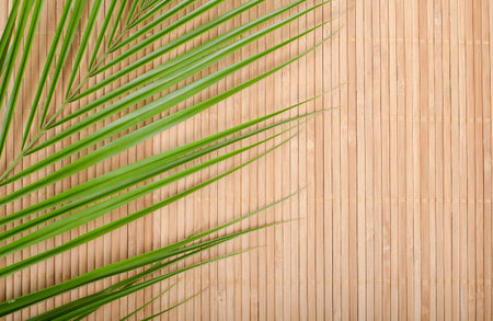 Background a bamboo rug and tree leaf