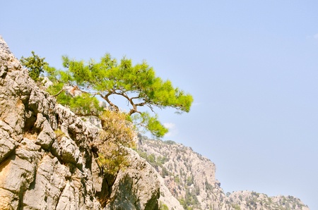 beautiful view mounttain Green Canyon in Turkeyの写真素材