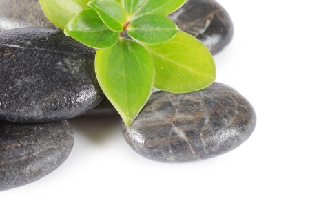Spa a stone isolated on white backgroundの写真素材