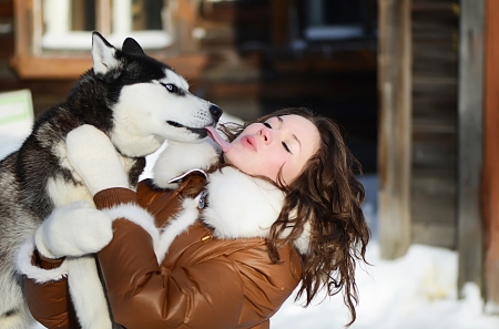 Woman with dog Husky in the winterの写真素材