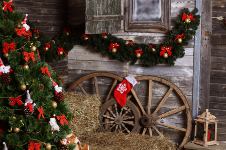 The christmas fur-tree in a rural interiorの写真素材