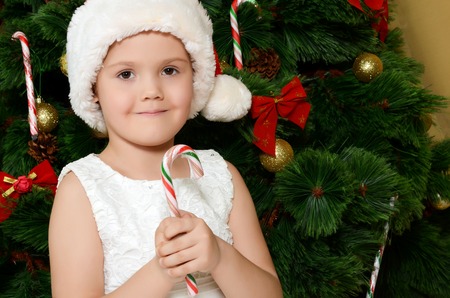 The little girl at a christmas fur-treeの写真素材