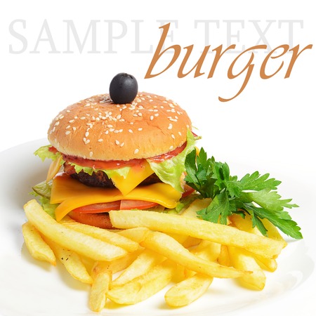 Hamburger with a potato fries close upの写真素材