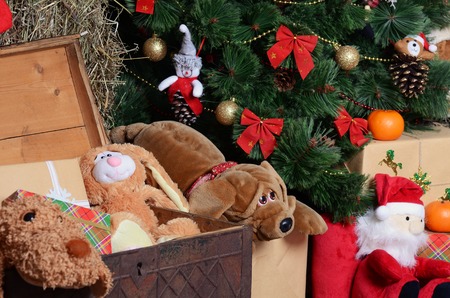 The christmas fur-tree in a rural interiorの写真素材