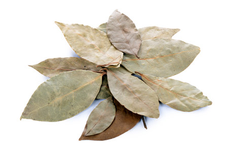 Dry laurel leaf isolated on white background