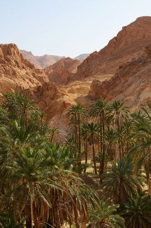 Famous Mountain oasis Chebika in Tunisia, Northern Africaの写真素材