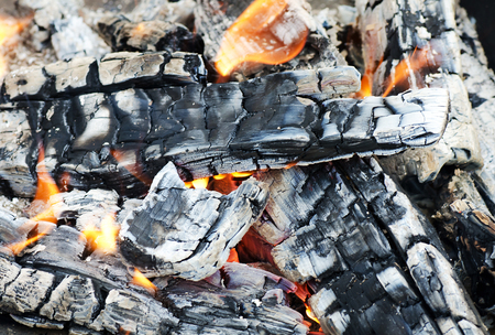 Very hot campfire close up a backgroundの写真素材