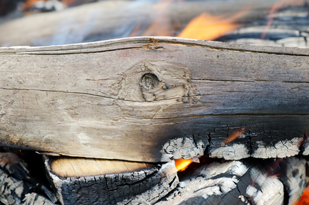 Very hot campfire close up a backgroundの写真素材