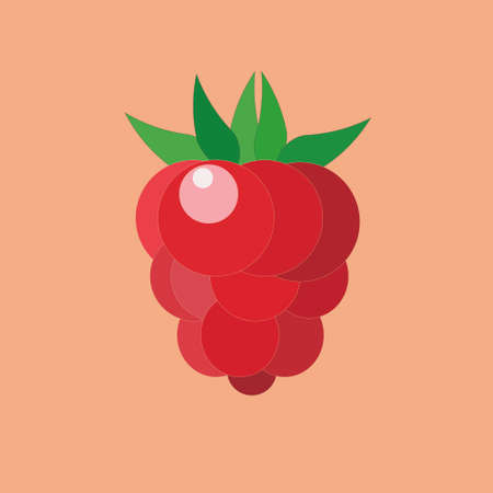 One raspberry berry is red with green leaves on an orange background. Flat style, vector.のイラスト素材