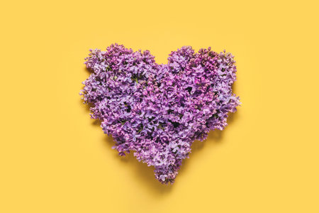 Heart shape made of lilac flowers on a yellow backgroundの写真素材