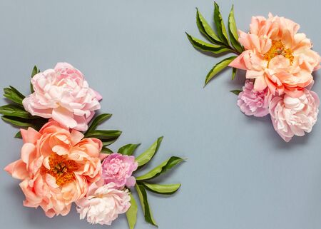 Summer composition. Peony flowers on pastel gray background. Flat lay, top view, copy space.の写真素材