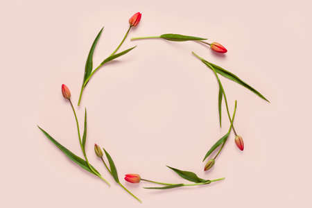 Floral background. Round frame wreath with tulips. Composition made of tulips on pink background. Flat lay, top view.の写真素材