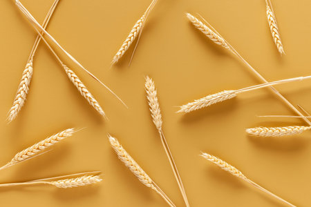 Wheat on a yellow background. Pattern.
