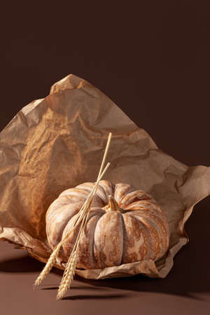 Autumn still life. Copy spaceの写真素材