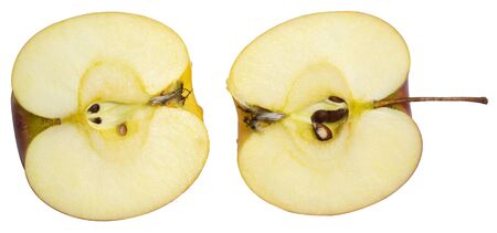 two ripe delicious juicy apples, cut in halfの写真素材
