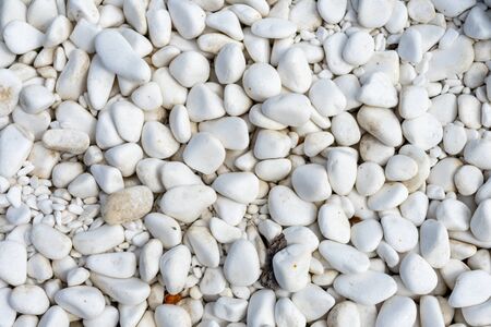 White sea stones as a background. Decorative decoration of flower bedsの写真素材