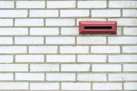 The swan floats on the water. White swan. Green water. Close upの写真素材