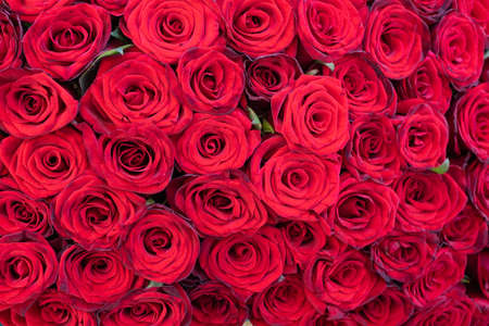 Big bouquet of red roses close upの写真素材