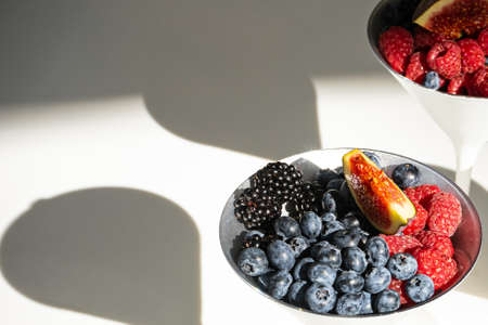 Pine branch close up. Long thorns. Natural background.の写真素材