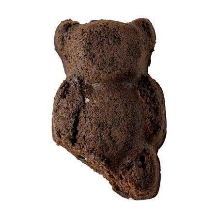 Russian bear. A Russian soldier in the war of aggression in Ukraine. isolate.