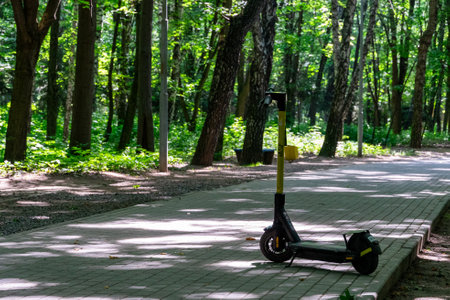 Electric scooter on the alley in the park.の写真素材