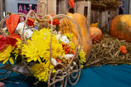 Pumpkin and flower arrangement. Festive arrangement with pumpkin and flowers.の写真素材