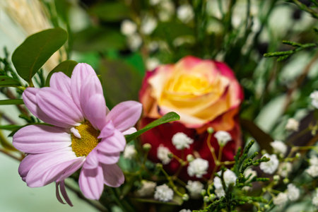 A vibrant bouquet features a delicate pink flower alongside a striking red rose. Filled with...
