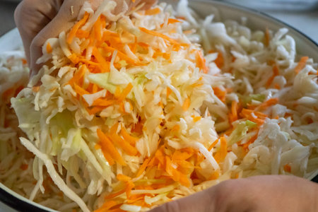 Cabbage and carrots are being mixed together in a bowl. Fresh, crunchy vegetables are combined for a...