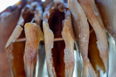 Fish are hanging to dry in a coastal village, absorbing sunlight and air, enhancing their flavor....