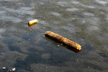 Two pieces of debris rest on a frozen surface, surrounded by a still winter environment. The cold...