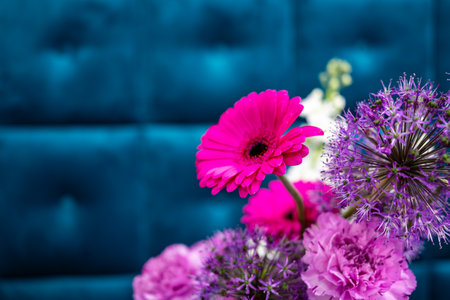 A vibrant display of pink gerbera daisies, purple alliums, and pink carnations contrasts beautifully with a blue tufted backdrop, adding a lively touch to a contemporary interior.の写真素材