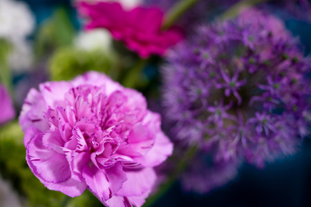 A vibrant display of colorful flowers purple alliums and pink carnations. The flowers create a lively atmosphere, showcasing nature's beauty in an artistic arrangement.の写真素材