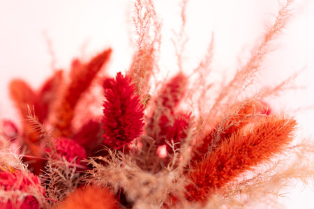 A blooming arrangement features an array of red and warm-toned flowers and grasses, displaying textures and colors that create a cheerful atmosphere perfect for decoration.の写真素材