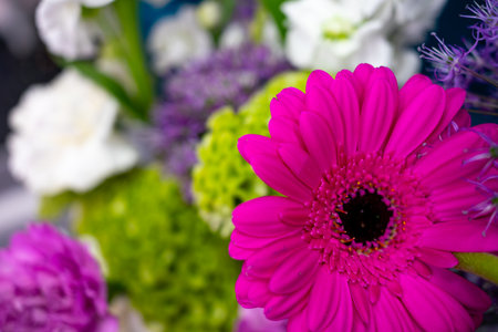 A close-up of a vibrant flower bouquet with pink gerbera daisies, white and purple blooms, and green accents, showing their beauty and freshness in a lively arrangement.の写真素材