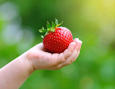 A child's hand gently holds a ripe, red strawberry outdoors, surrounded by greenery. The scene captures the joy of harvesting fresh fruit on a warm, sunny day.の素材